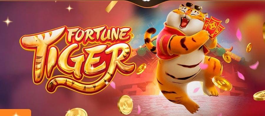 vip casino sports reading session reflecting Khulna user habits and interests